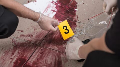 Crimes