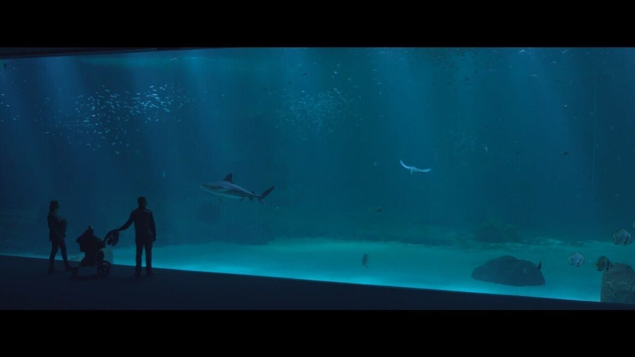 Nausicaá, dans les coulisses du plus grand aquarium d'Europe