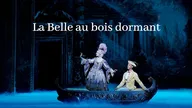 La Belle au bois dormant