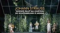 Johann Strauss : "Wiener Blut" au château de Schönbrunn à Vienne