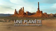 Une planète, deux mondes sauvages
