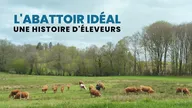 L'abattoir idéal, une histoire d'éleveurs