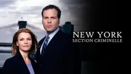 New York, section criminelle