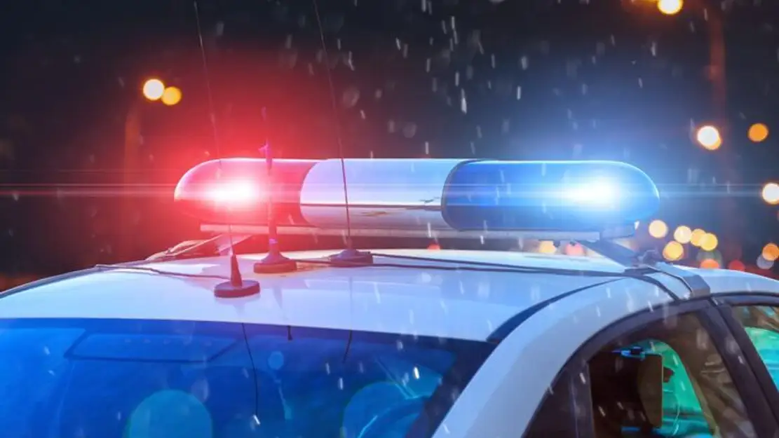 Chroniques criminelles