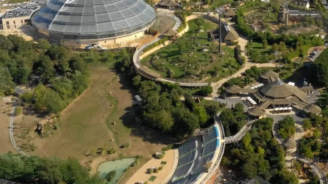 ZooParc de Beauval : au coeur de la machine