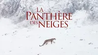 La panthère des neiges