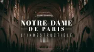 Notre-Dame de Paris, l'indestructible