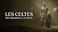 Les celtes, des origines à la chute
