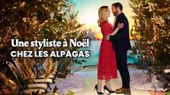 Un Noël tout doux