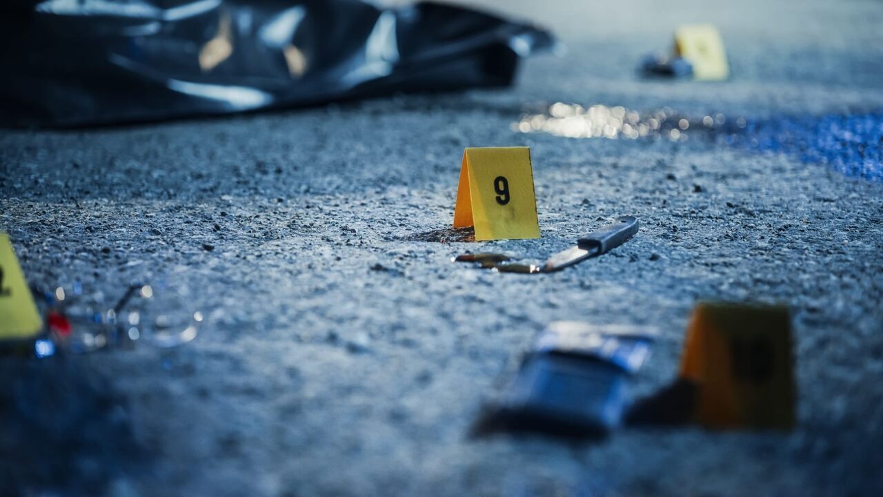 Enquêtes criminelles