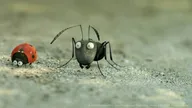 Minuscule : la vallée des fourmis perdues