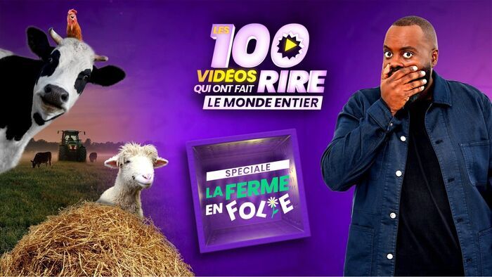 Les 100 vidéos qui ont fait rire le monde entier