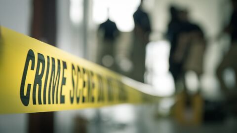 Crimes