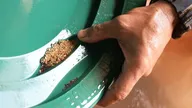Australie, la ruée vers l'or