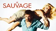 Le sauvage