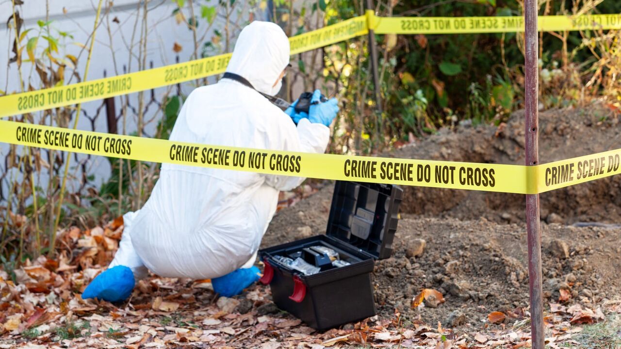 Crimes